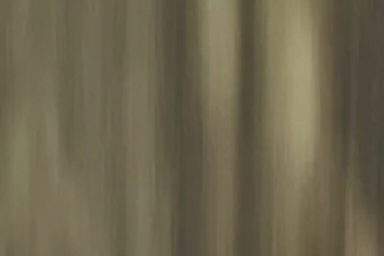 SS PVD Coated in indonesia